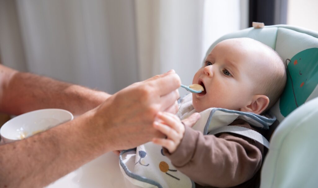 Baby being fed in a high chair, starting solids food. Parent´s hand visible with puree on a spoon being brought to little baby´s mouth.