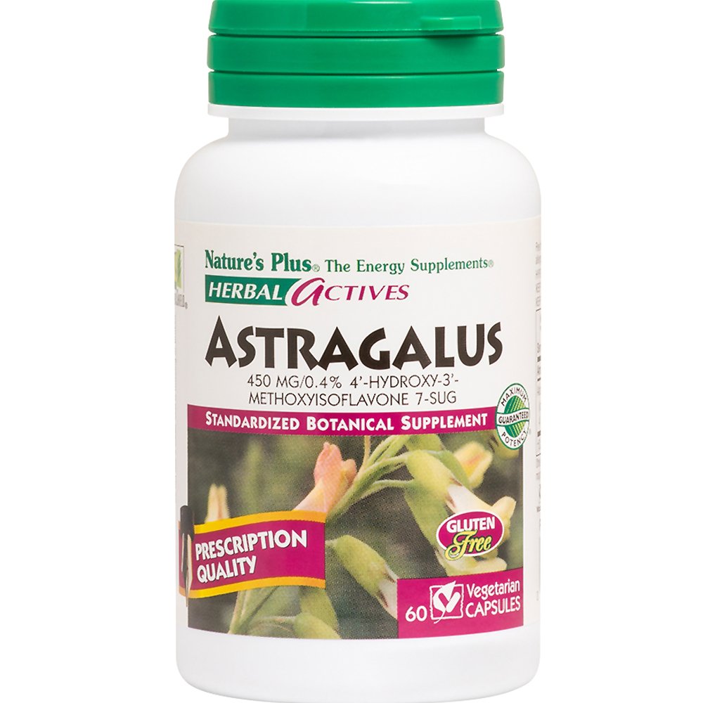 Natures Plus Natures Plus Astragalus 450mg Συμπλήρωμα Διατροφής Εκχυλίσματος του Βοτάνου Αστράγαλου για την Ενεργοποίηση & Ενίσχυση του Ανοσοποιητικού Συστήματος με Αντιφλεγμονώδεις Ιδιότητες 60caps