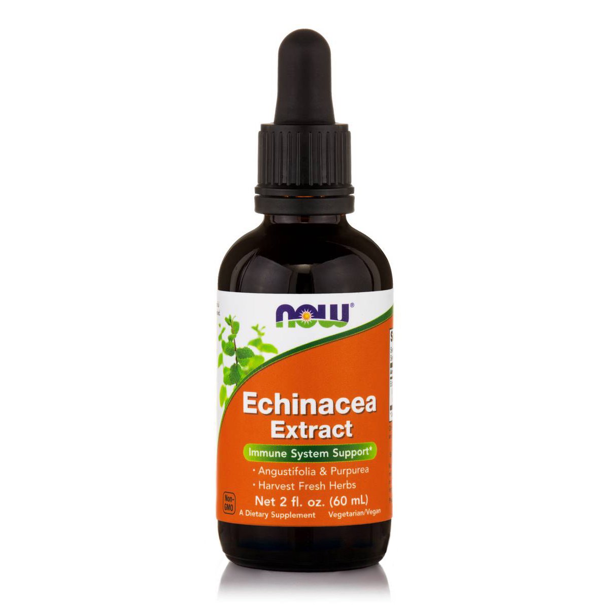 Now Now Foods Echinacea Extract Liquid με Ανοσοδιεγερτικές Αντιφλεγμονώδεις Αντιβακτηριακές και Αντιϊκές Ιδιότητες 60ml