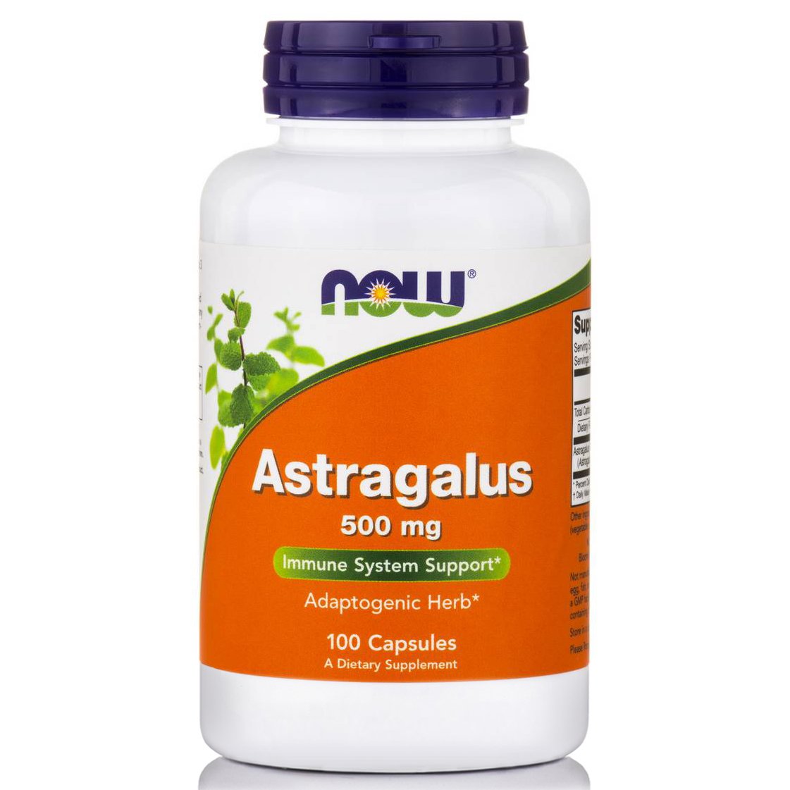 Now Now Foods Astragalus 500mg Συμπλήρωμα Διατροφής για την Ενίσχυση του Ανοσοποιητικού & την Προστασία από το Κρυολόγημα 100caps