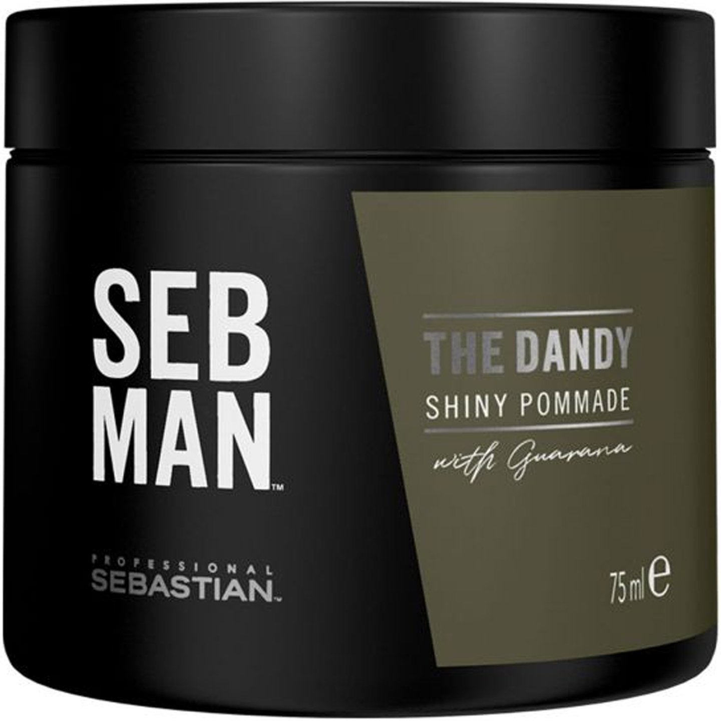 Sebastian Professional Sebastian Professional The Dandy Pomade Πομάδα Μαλλιών για Ελαφρύ Κράτημα & Λάμψη 75ml