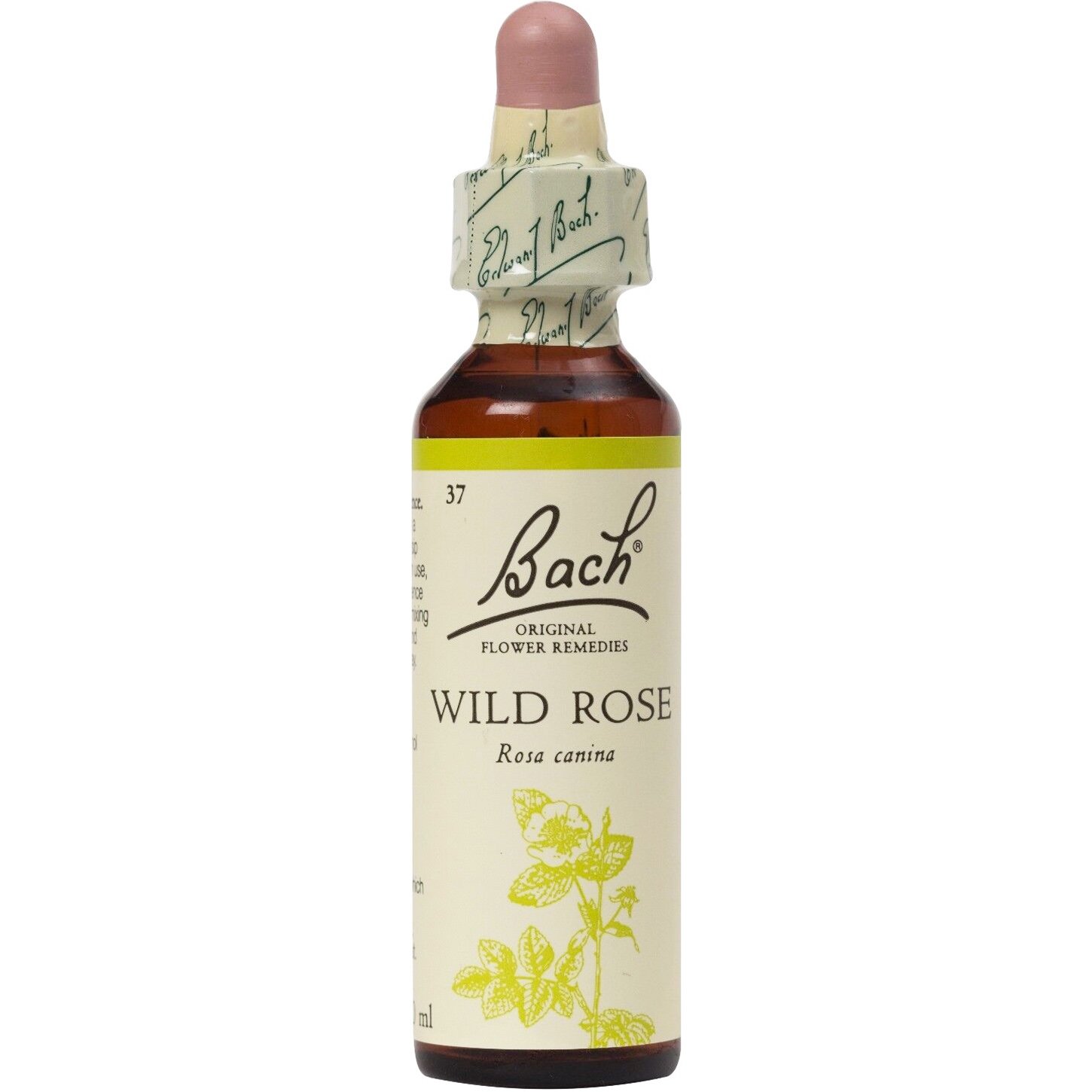 Bach Bach Wild Rose Συμπλήρωμα Διατροφής με Εκχύλισμα Άγριας Τριανταφυλλιάς για την Ενίσχυση της Ελπίδας & του Ενθουσιασμού 20ml