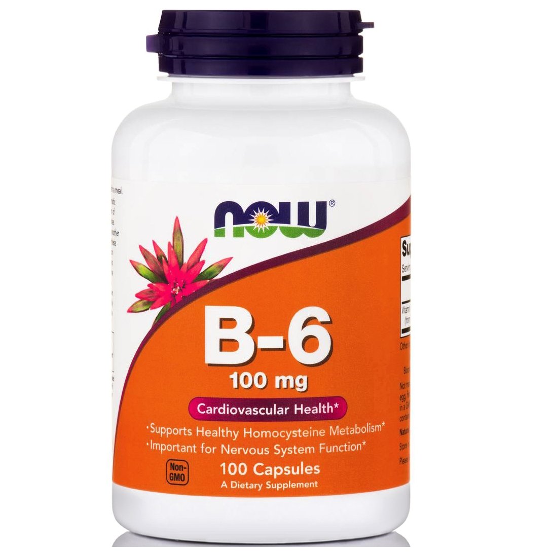 Now Foods B-6 Βιταμίνη που Συμμετέχει σε Πάρα Πολλές Σωματικές Λειτουργίες 100mg 100caps φωτογραφία