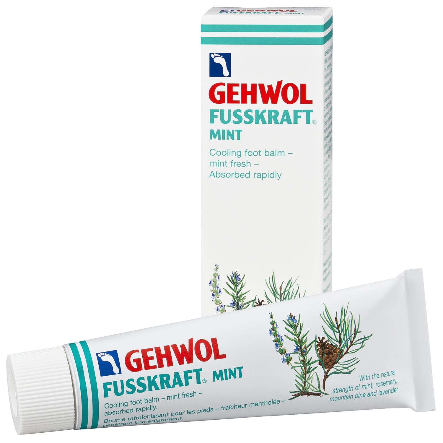 Gehwol Gehwol Fusskraft Mint Αντιφλογιστικό Βάλσαμο για Πέλματα και Γάμπες 75ml