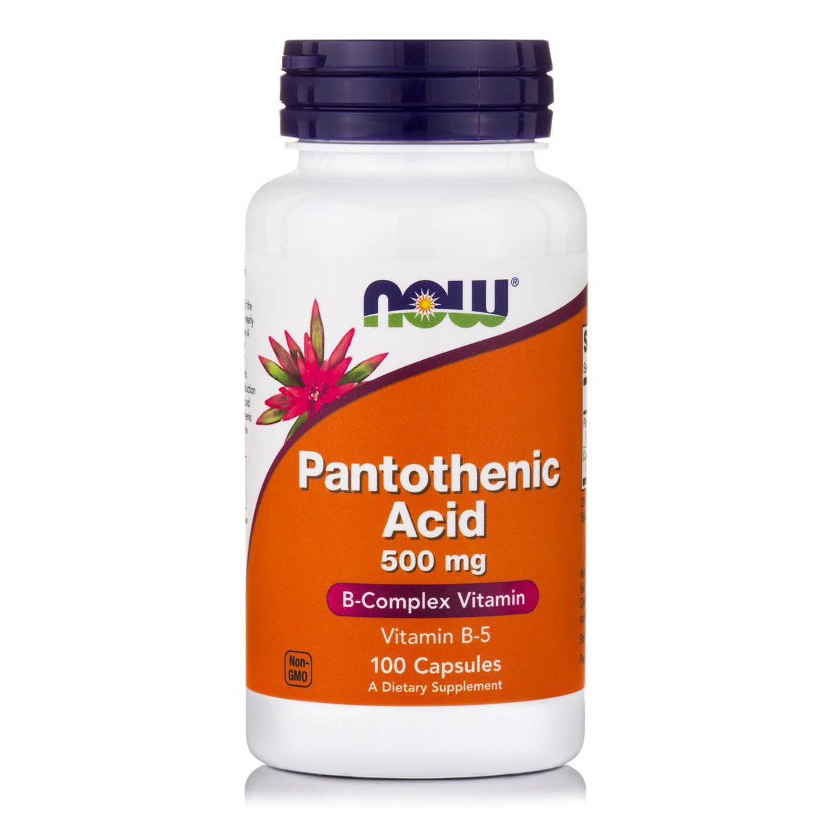 Now Now Foods Pantothenic Acid με Σημαντικό Ρόλο σε Αρκετές Βιοσυνθετικές Αντιδράσεις 500mg 100caps